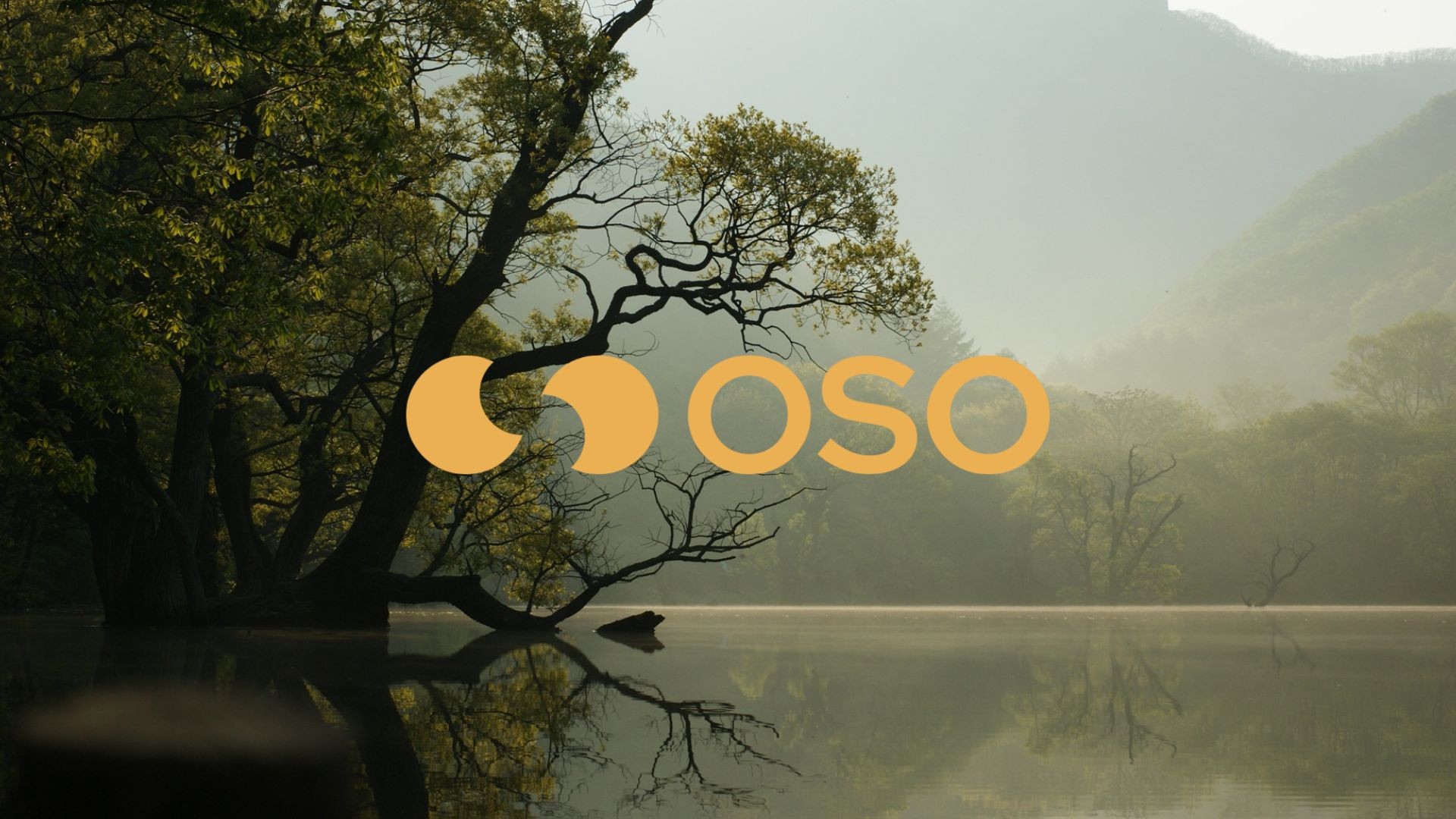 Developing a new innovative digital brand